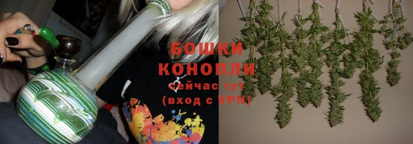 стаф Белоозёрский