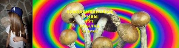 бошки Беломорск